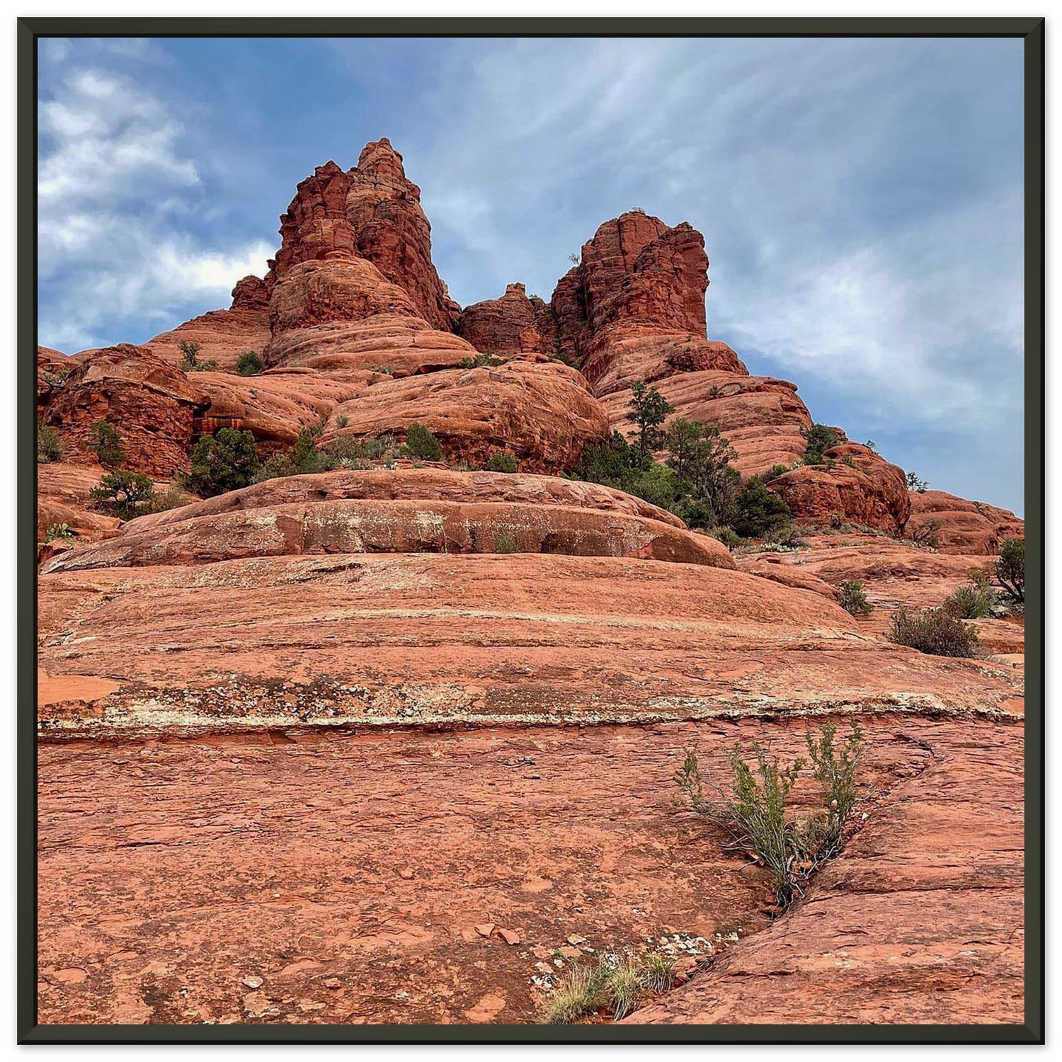 00028891-056f-4161-8fc4-63a38b060ce2