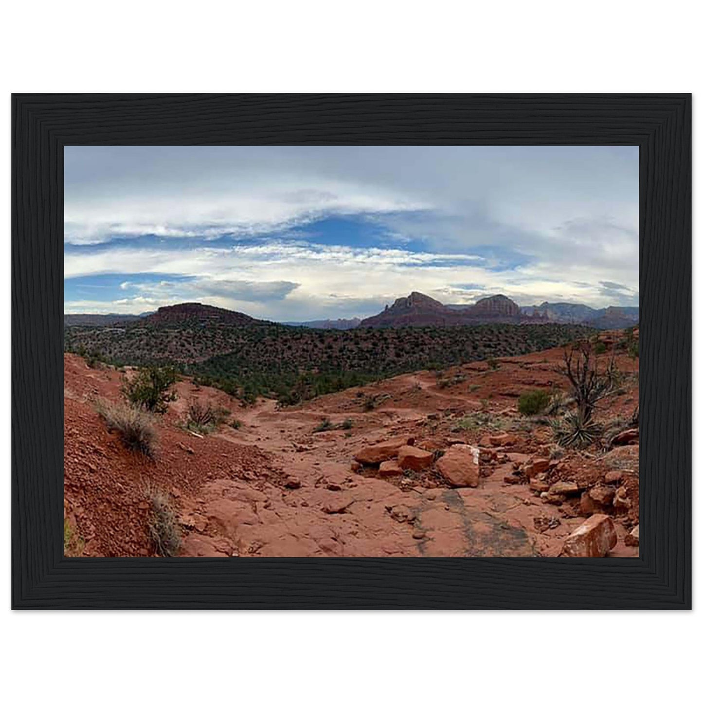 066180d6-dc97-4fb1-b5b5-80a006c07a78