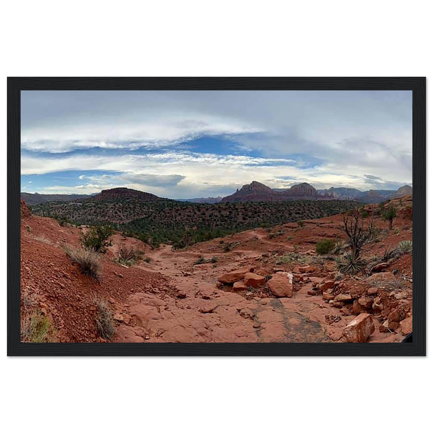 0d50c0ae-ed59-4f07-be51-b9714c6b291b