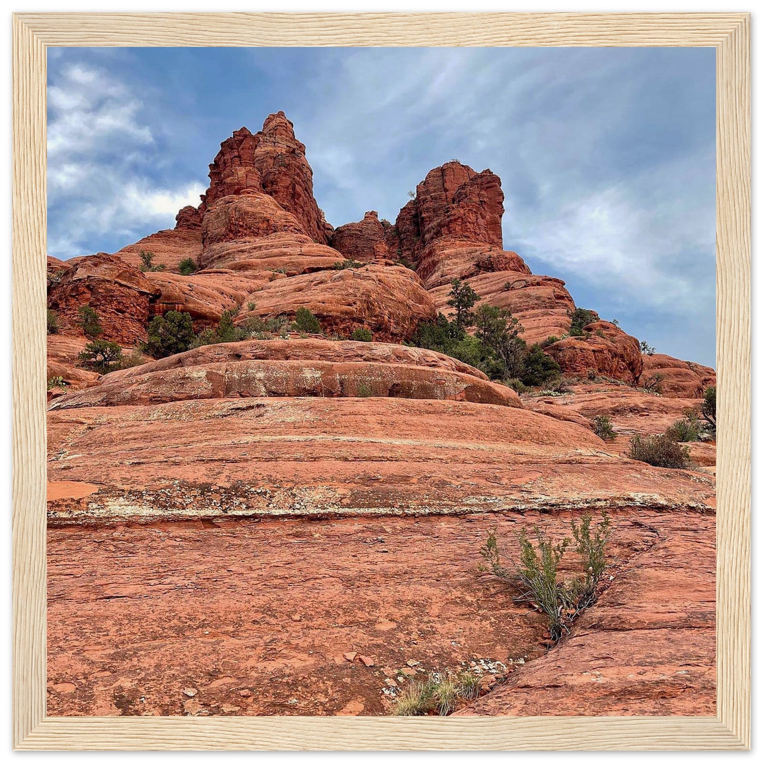 0fe716f7-e60b-4cc5-9fc8-c992b2e77b7c