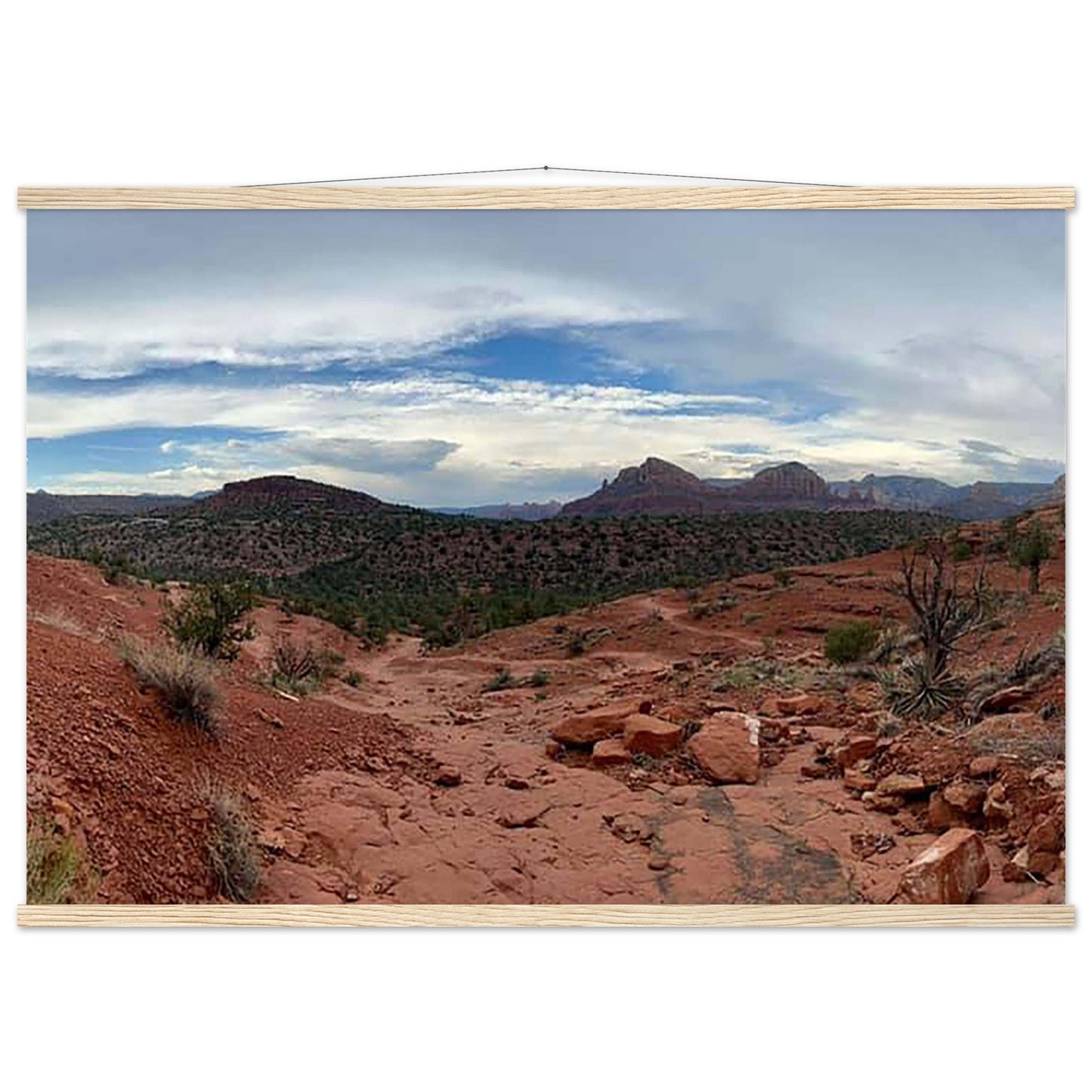 1c88f35a-06a3-43f2-868a-4cbffe0c9c1e