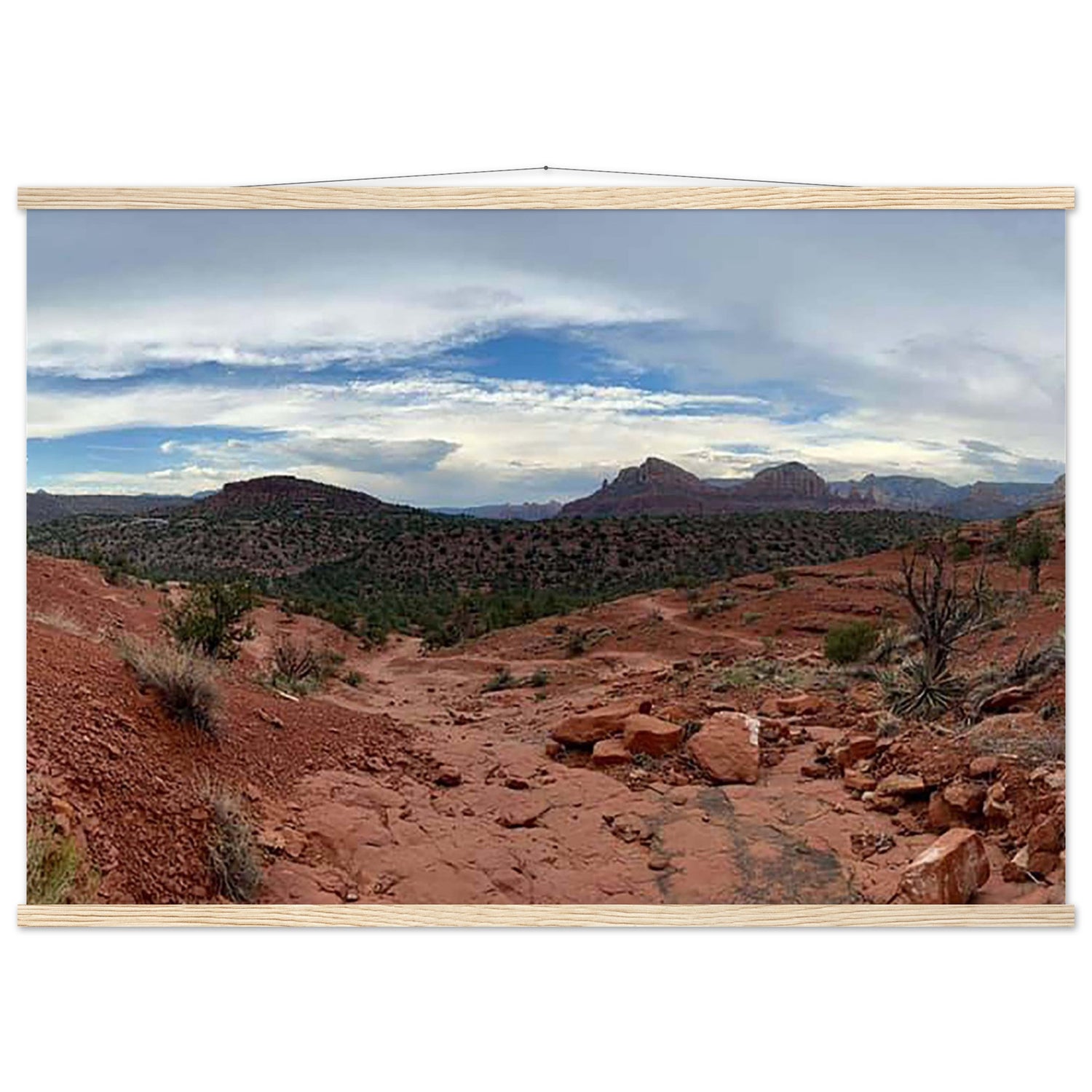 1c88f35a-06a3-43f2-868a-4cbffe0c9c1e