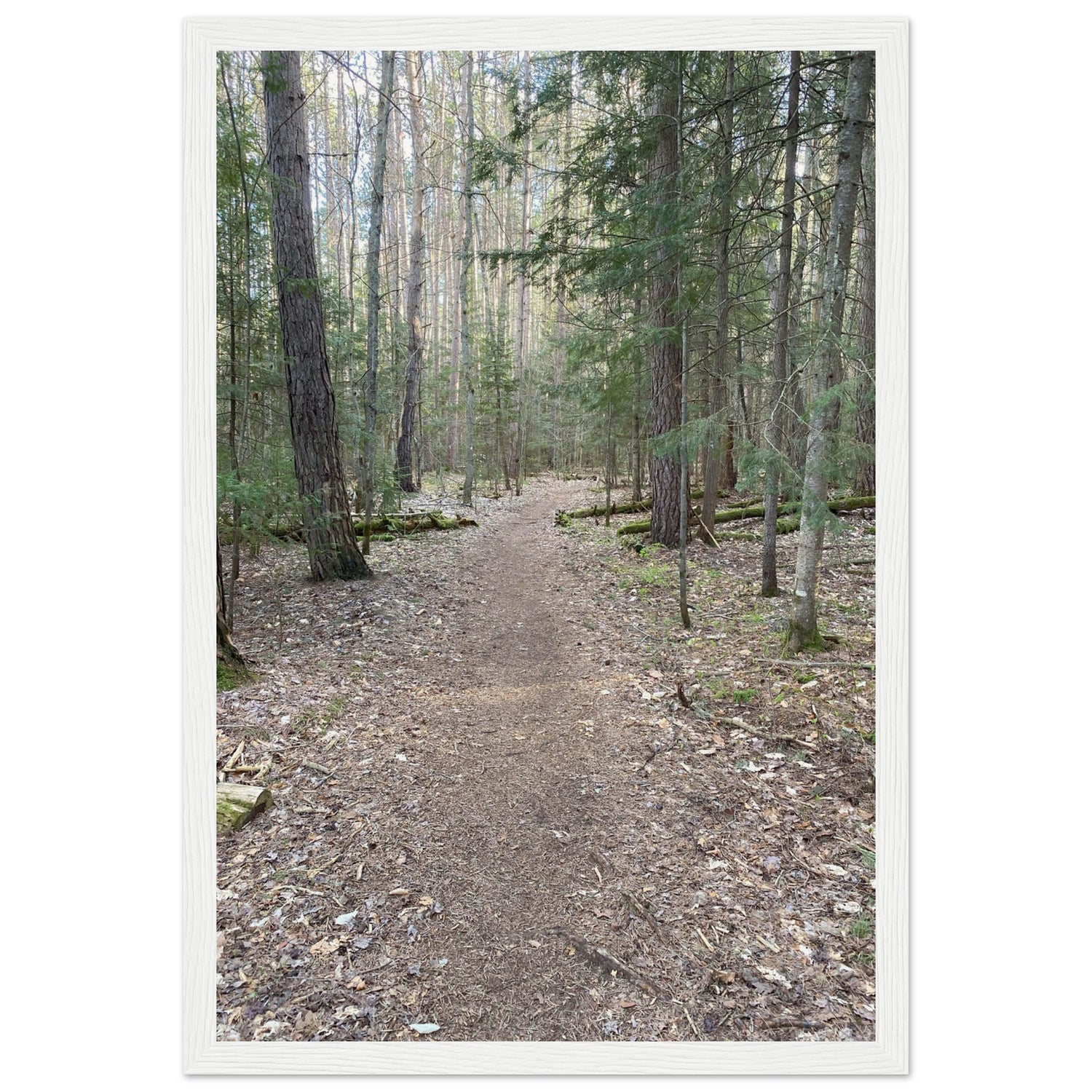 1d619105-1f5e-4c3f-abe4-185498c87773