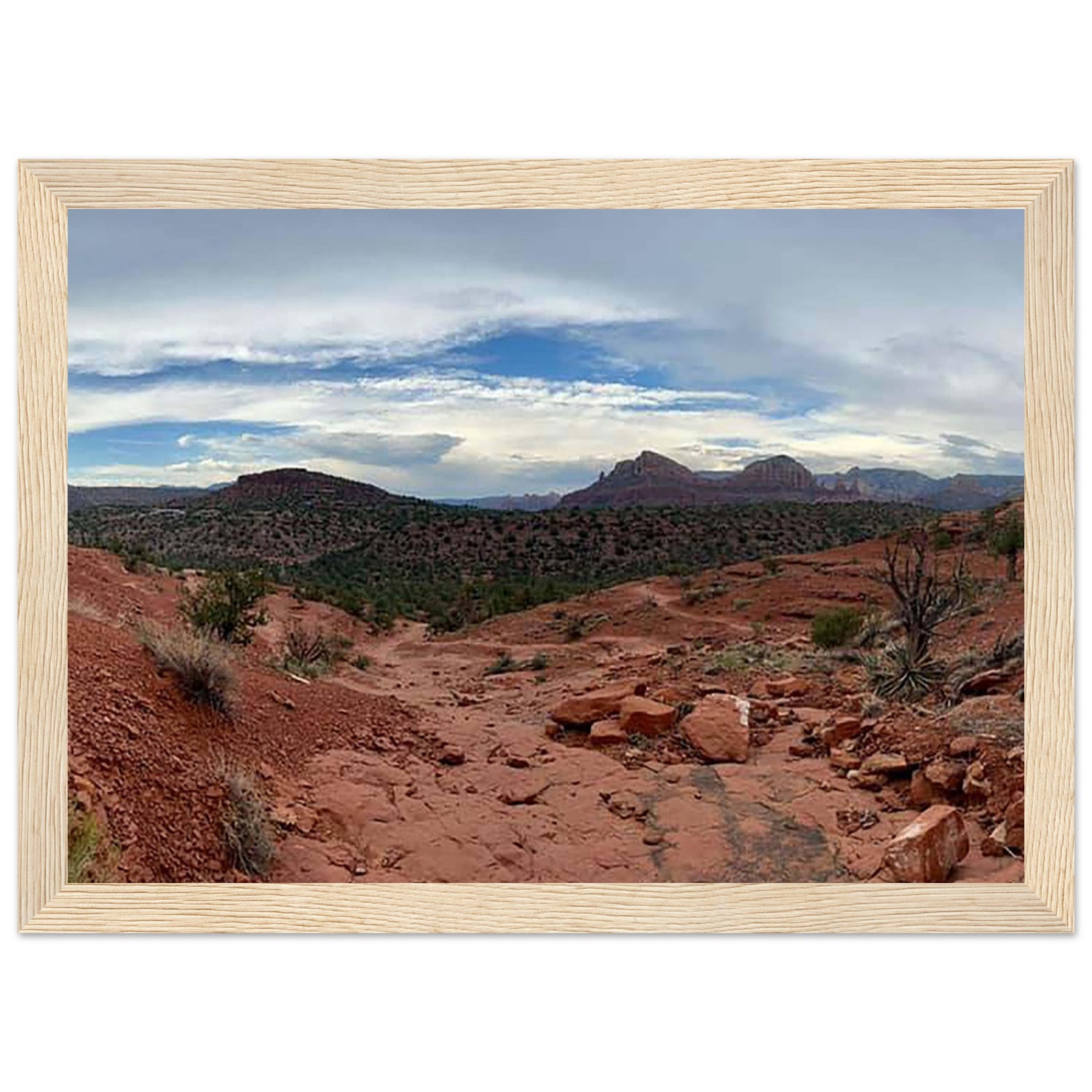 1fde8c40-e854-4b5a-a5b5-416c8859042d