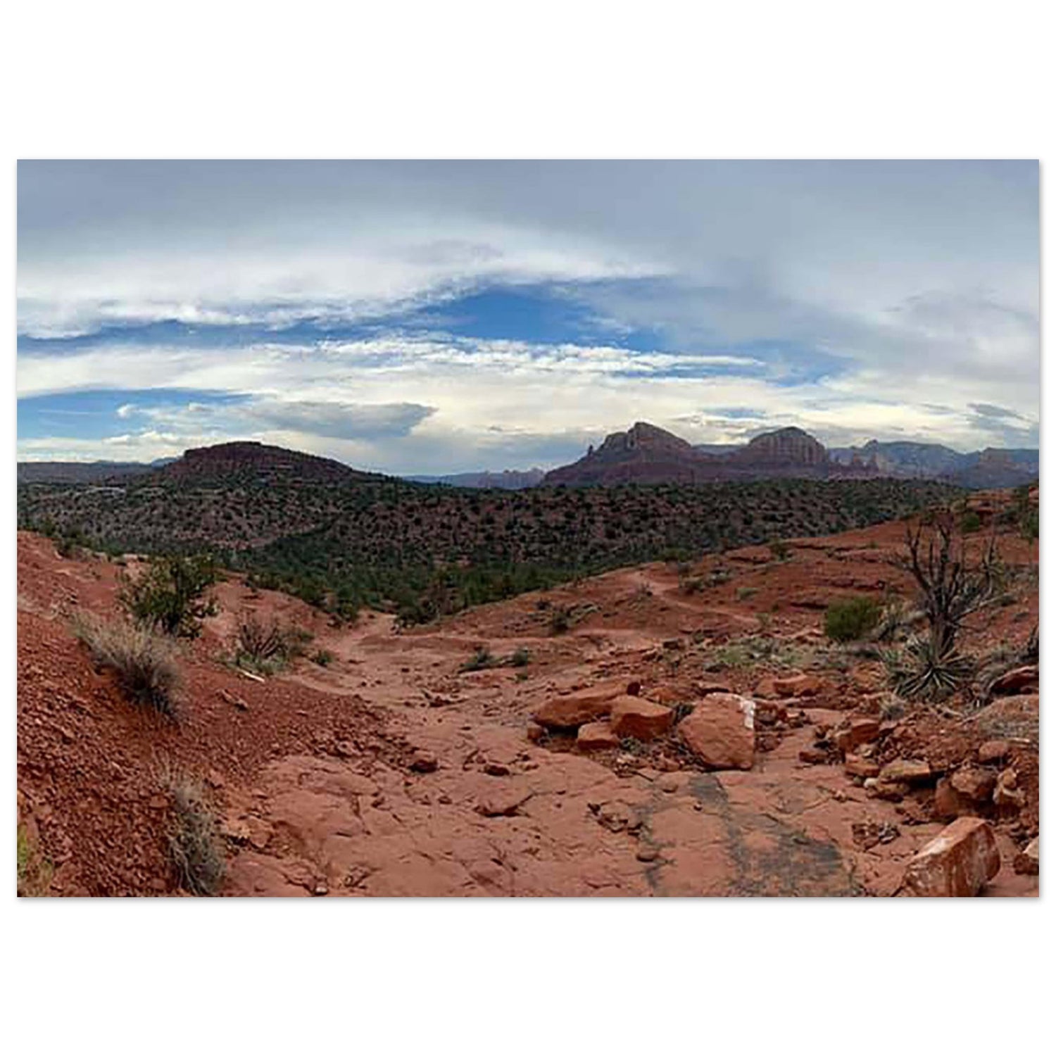 212177d3-fbab-4bad-aa47-47157b0ac6dd