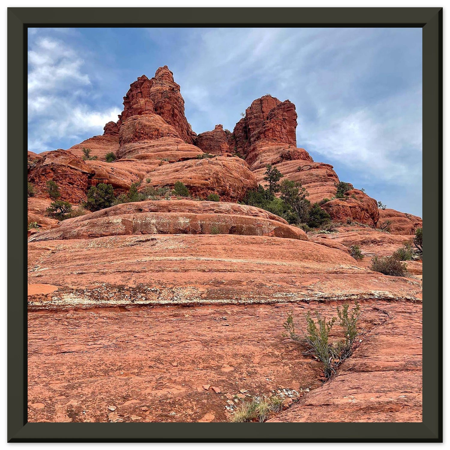 226e2289-a5f2-4201-98c2-02fbd34fc170