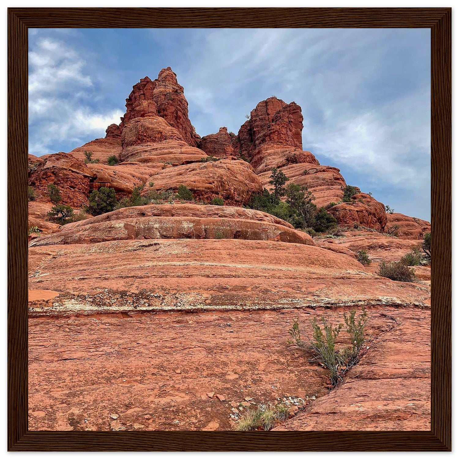 291c97e6-93cd-4dd1-854c-49067e9b6820