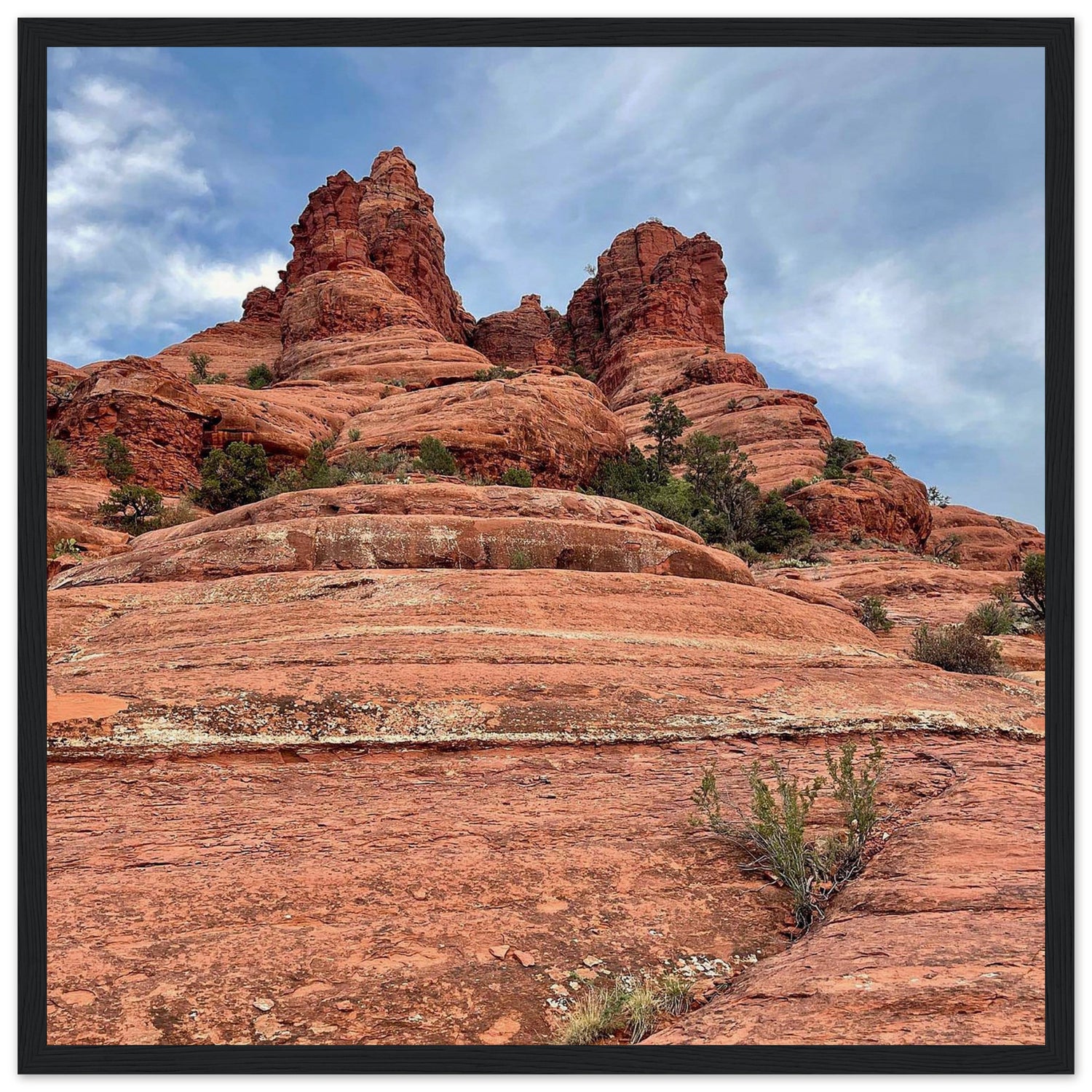 316a8bea-154d-4e67-9799-88b6fc00f807