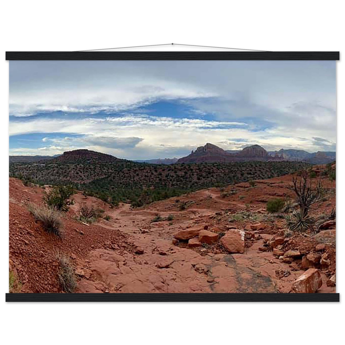 34664895-fcee-4849-9780-6f3044775a03