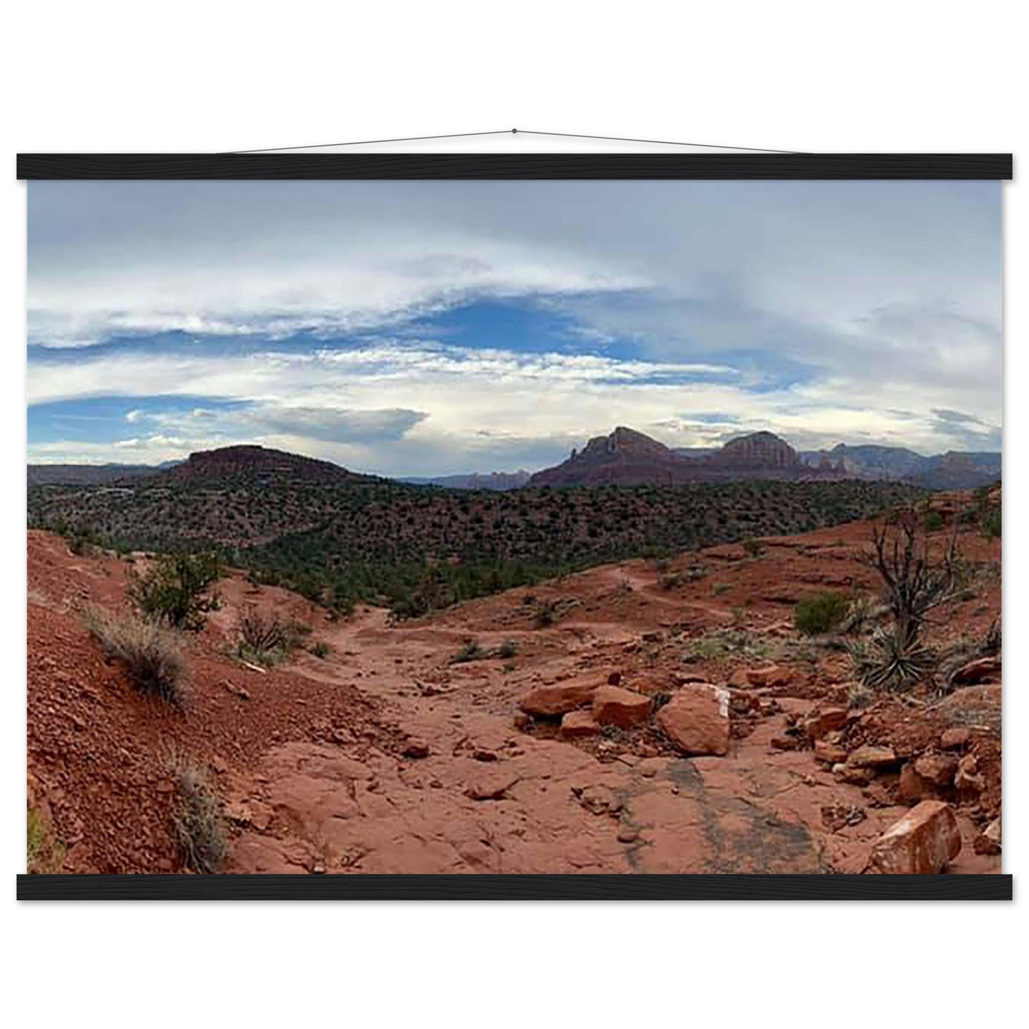 34664895-fcee-4849-9780-6f3044775a03