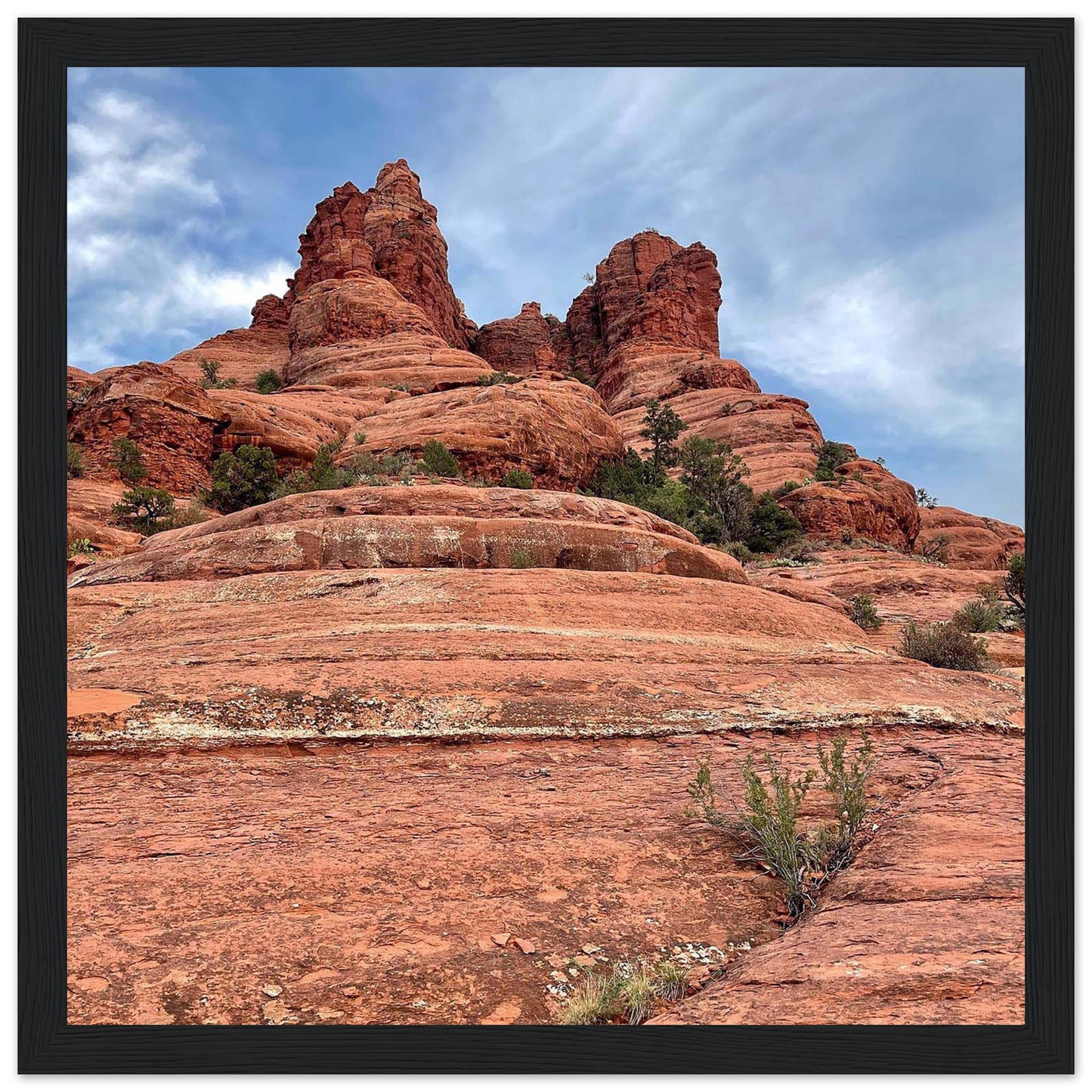 363f7276-e610-4279-bde7-8db4bf278e63