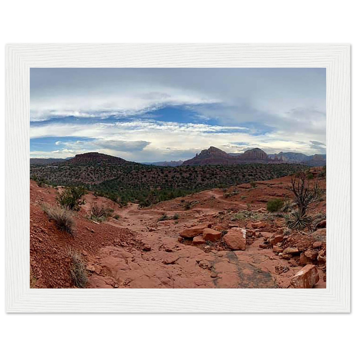 3672ea42-4d01-44a6-a93c-e7afc4af64ff