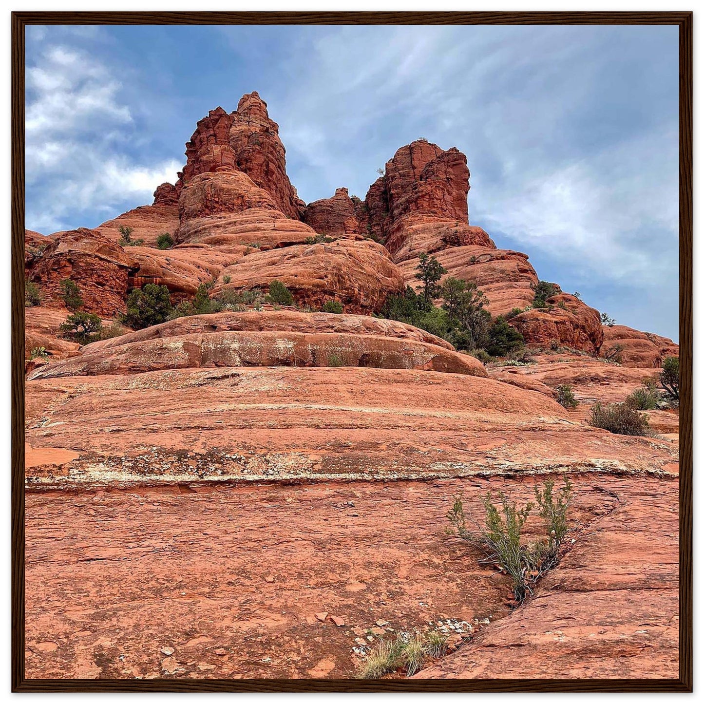 3c7a6aec-2870-41d1-80fc-034d871f158d