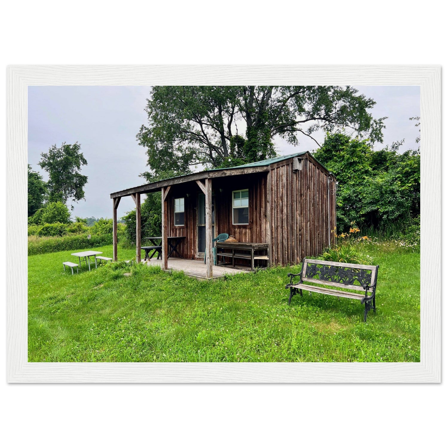 3d9e33ed-dd1f-41b7-97e0-e0ba3dd28e03