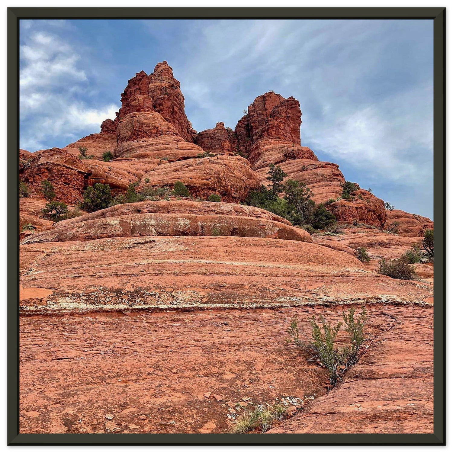 4c98faee-3177-46d8-8055-cfd094bc2bcf