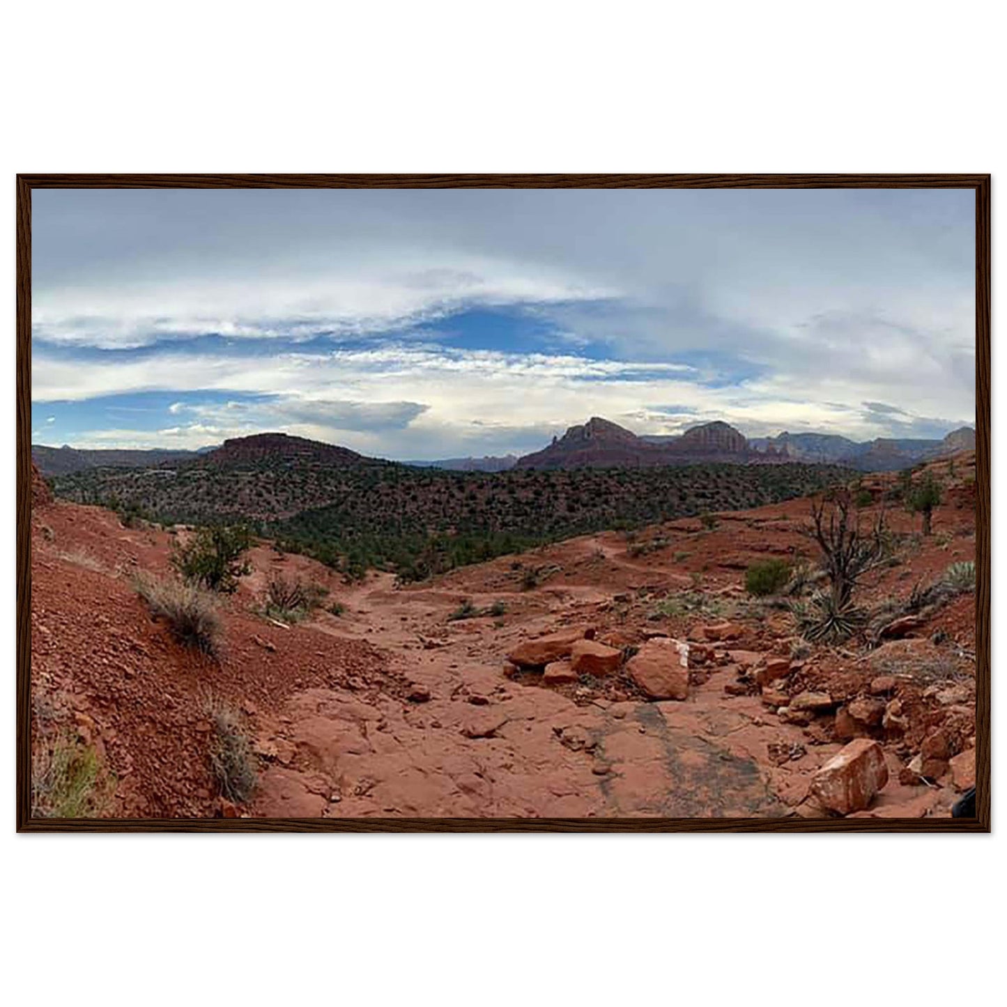 4d216943-17a7-406f-90d4-675113275e0a