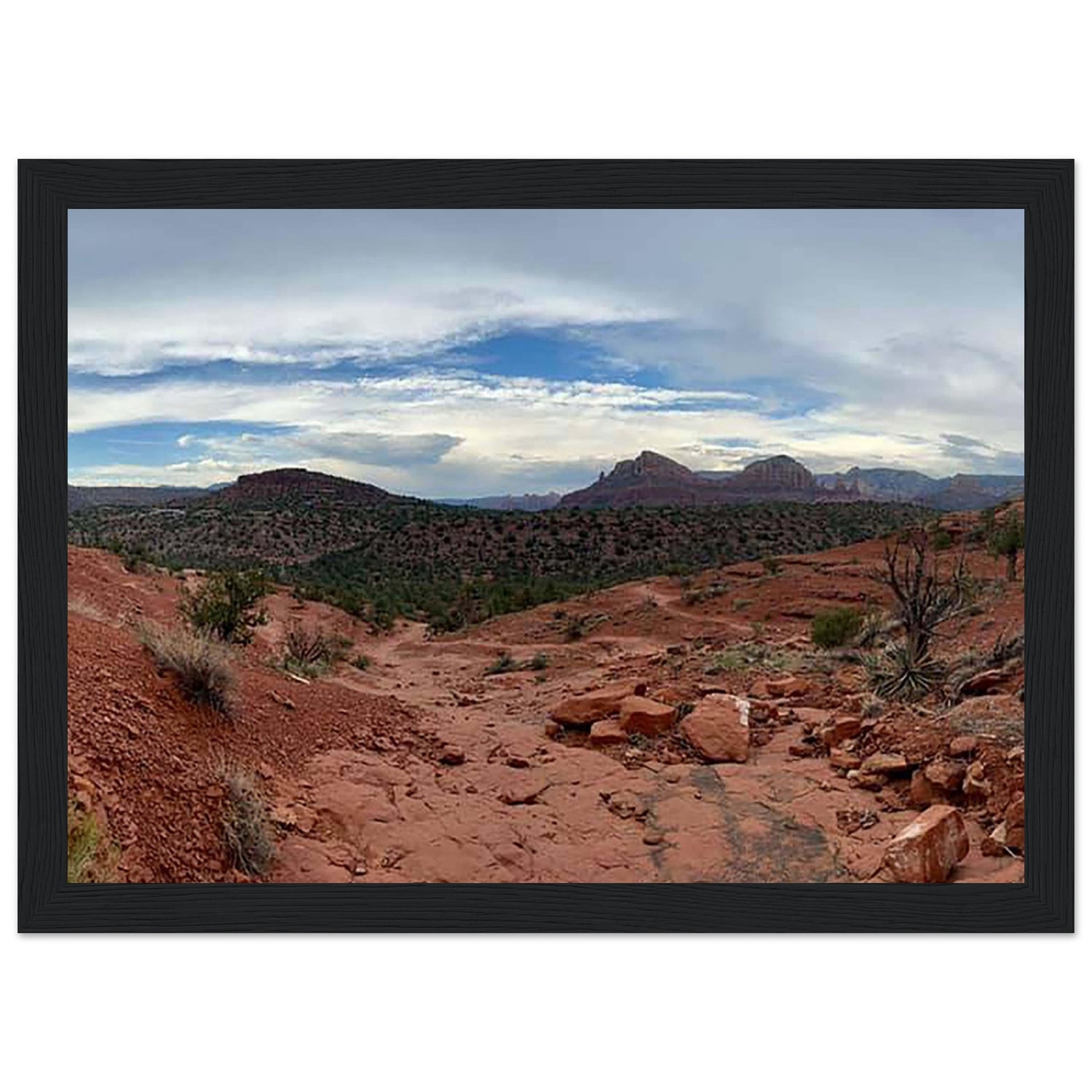 4e0bd65c-498c-41c8-81e9-31db70abb0b1