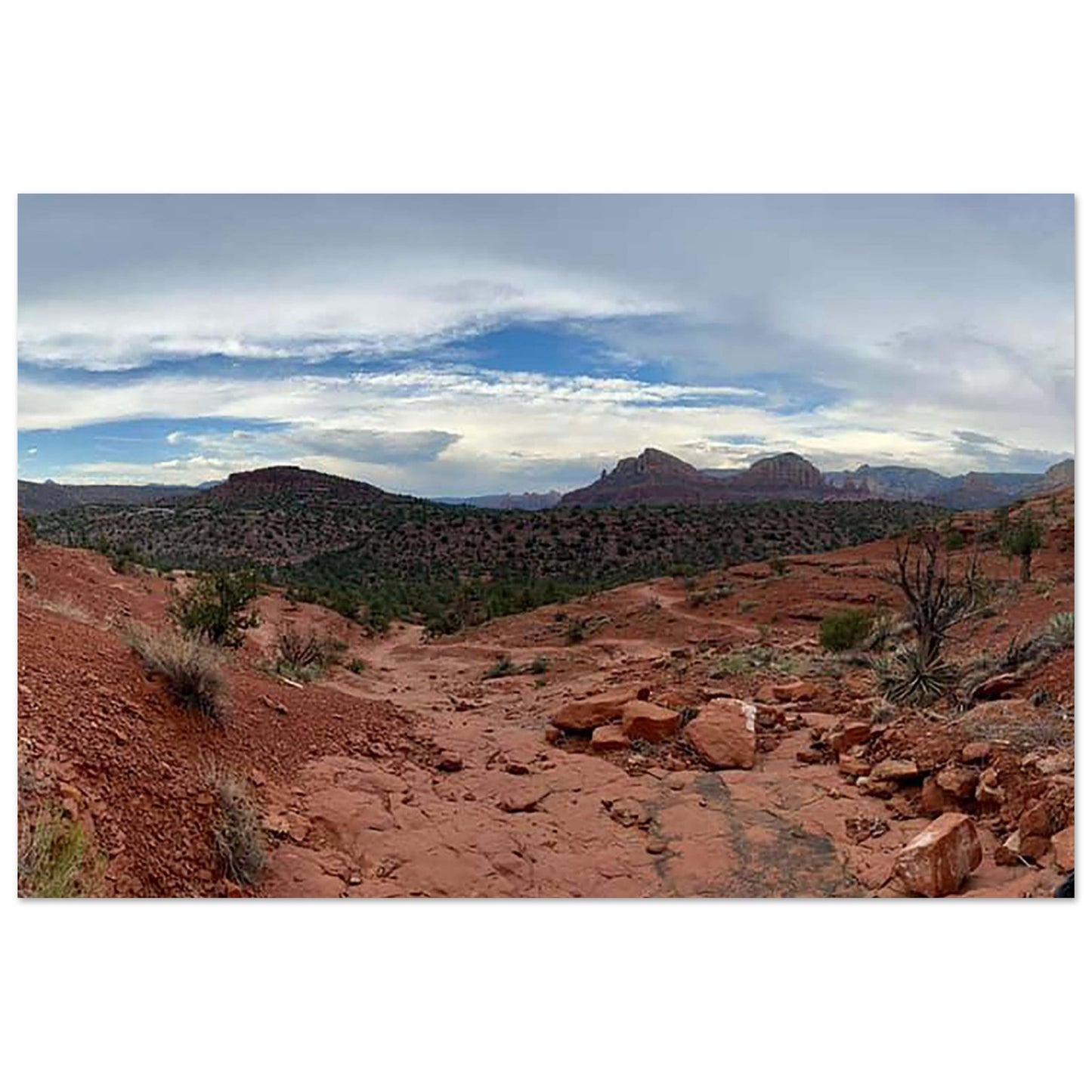 5038a3a1-cbcf-4e14-b05d-50b3dfd5a4f6