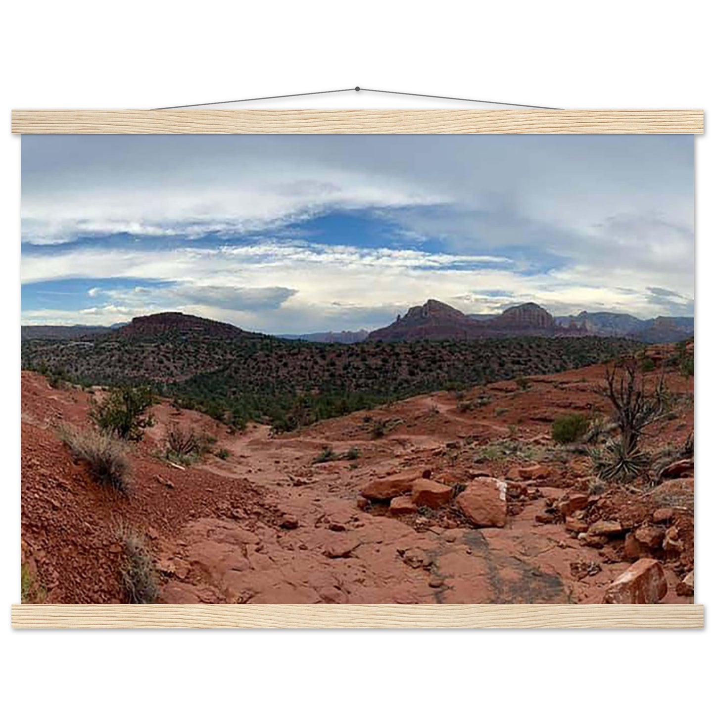 59c90711-1907-49ad-a0a4-9a06597fe7e3