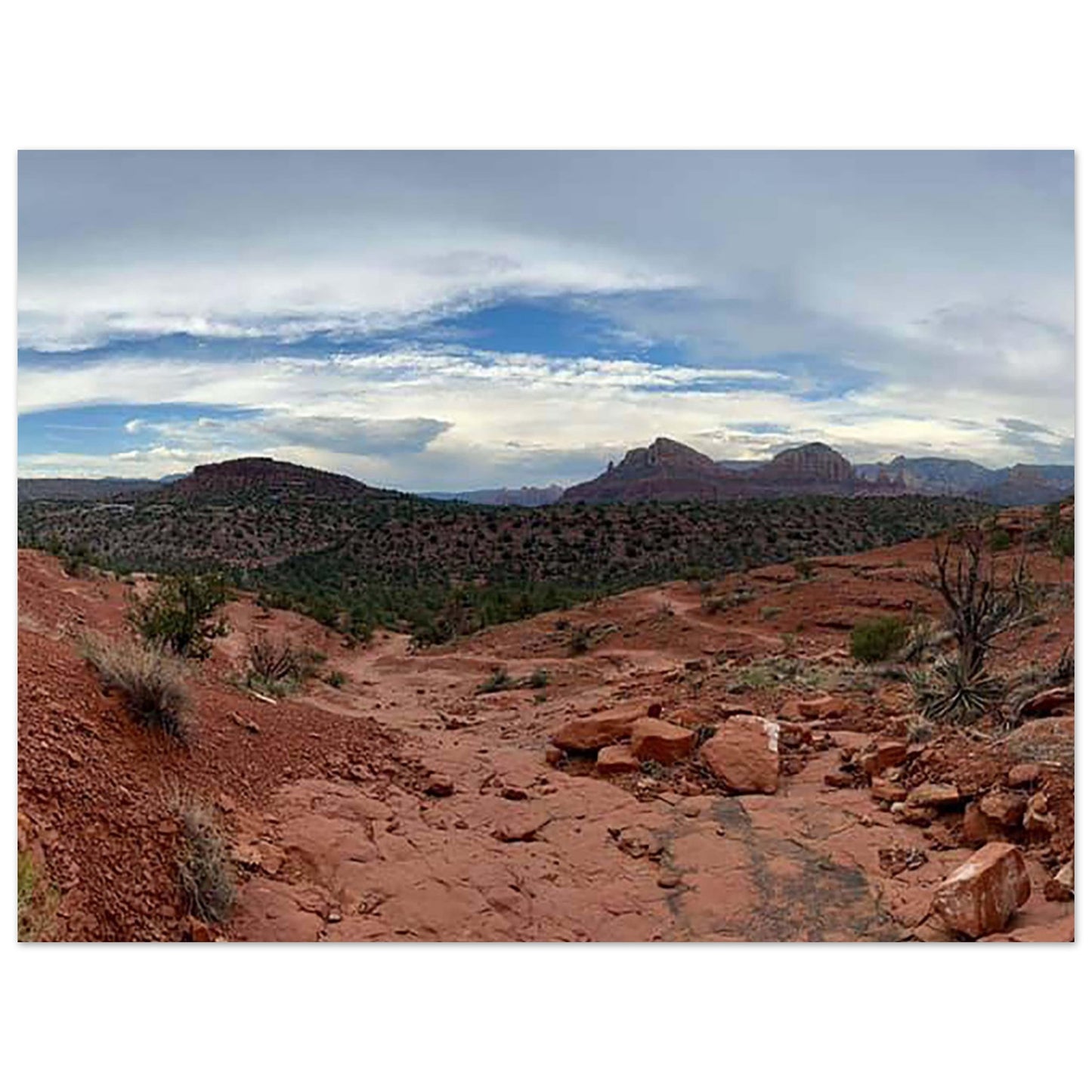 5dcece6f-4ab3-4671-9a5a-168230cdd33b