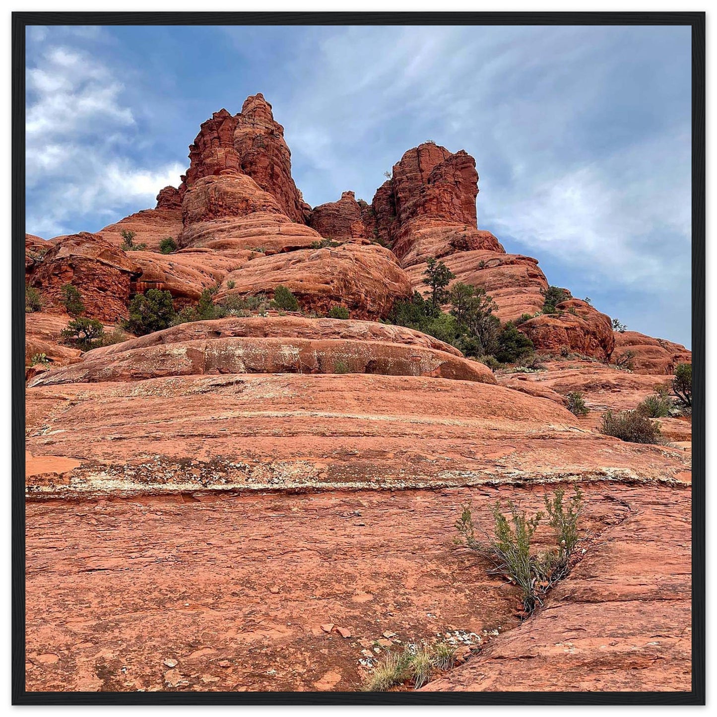 5ee39113-9aec-47ac-9ba4-dc555cb40902