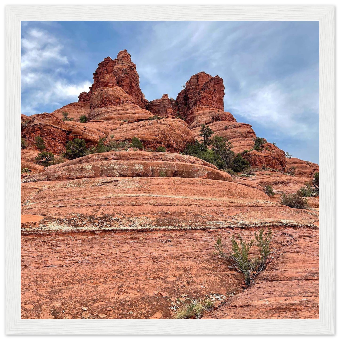 61bba808-3741-4fa7-ad98-8b486c3a822d