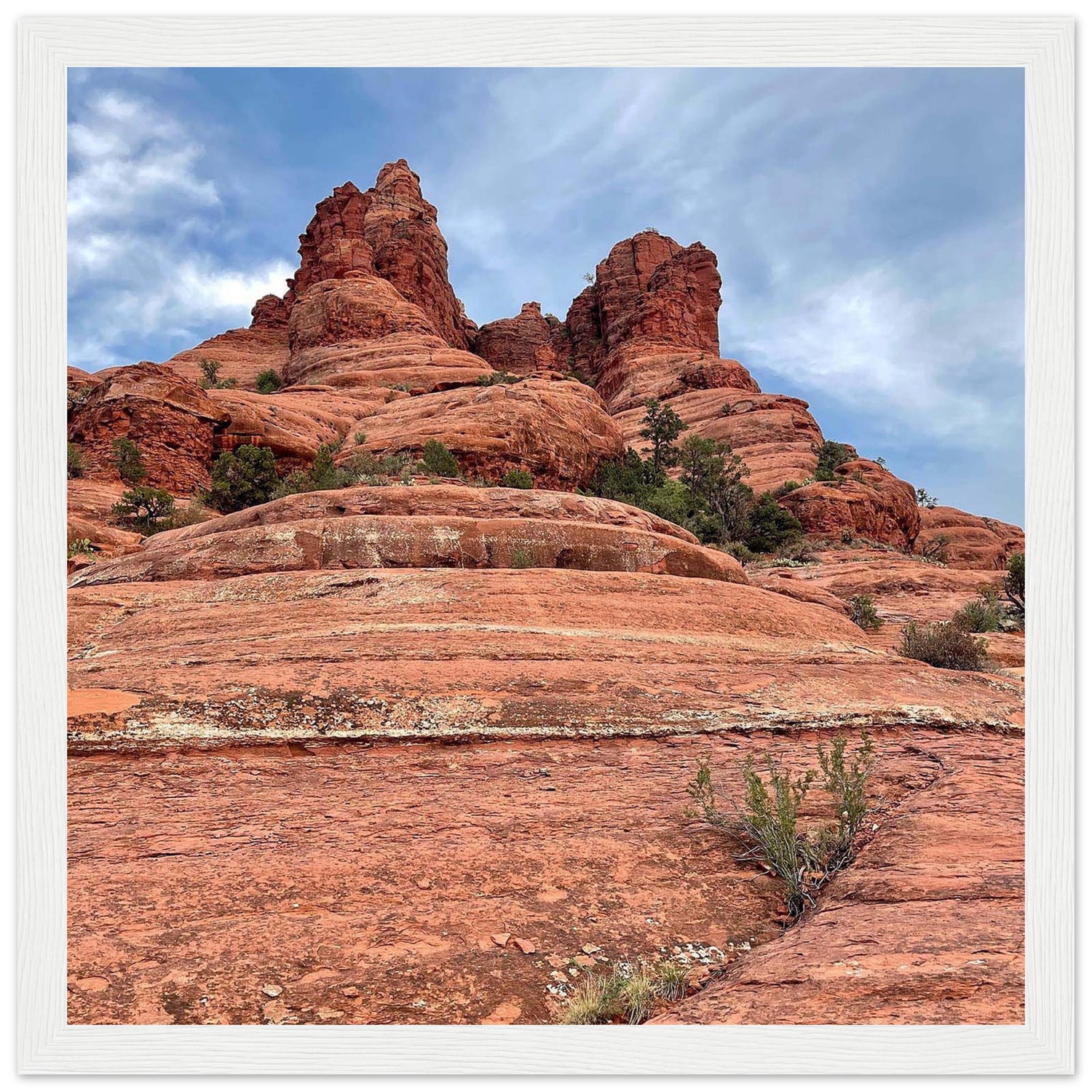 61bba808-3741-4fa7-ad98-8b486c3a822d