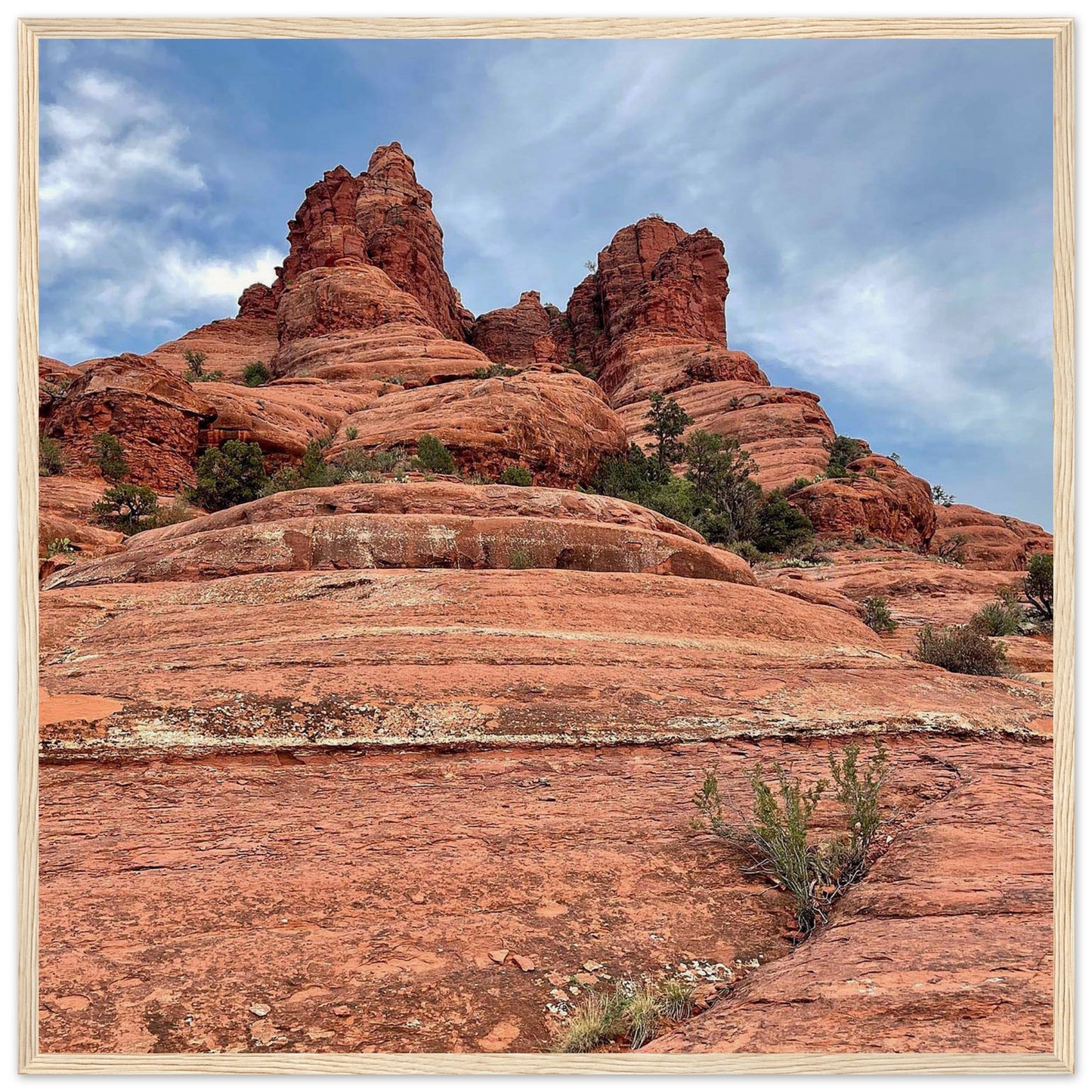 62d3775b-6a5e-4196-9c64-35549a04fab9