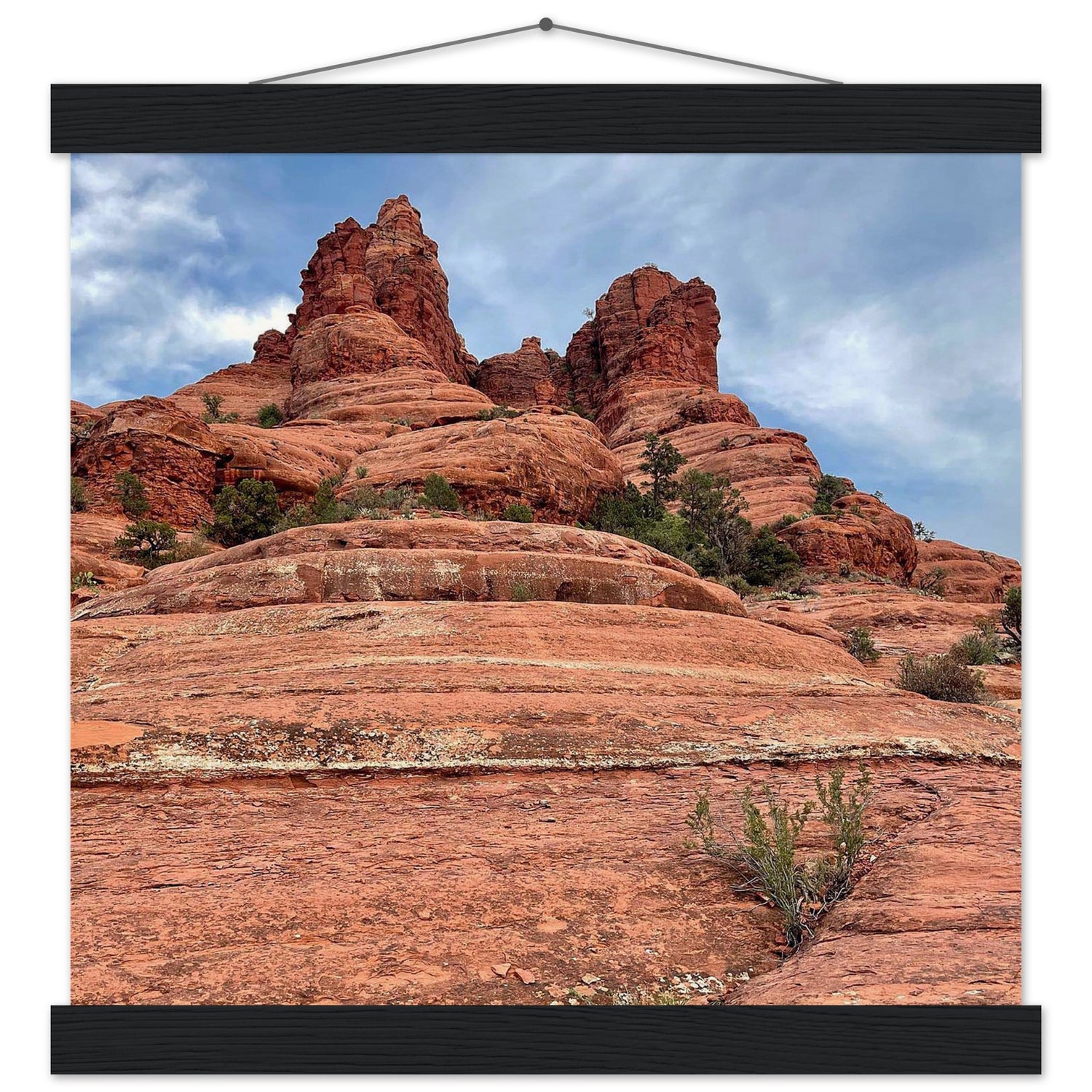 6c225378-ba89-40be-84f9-0c7ad156921e