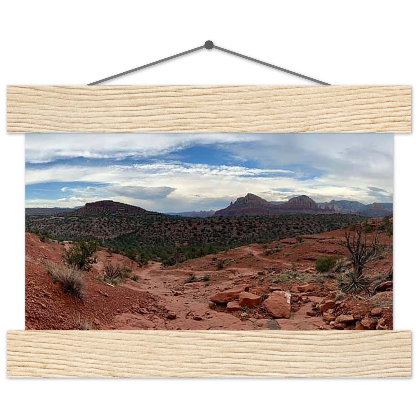 6eed0a34-b645-4e50-bd19-856ad60051bf