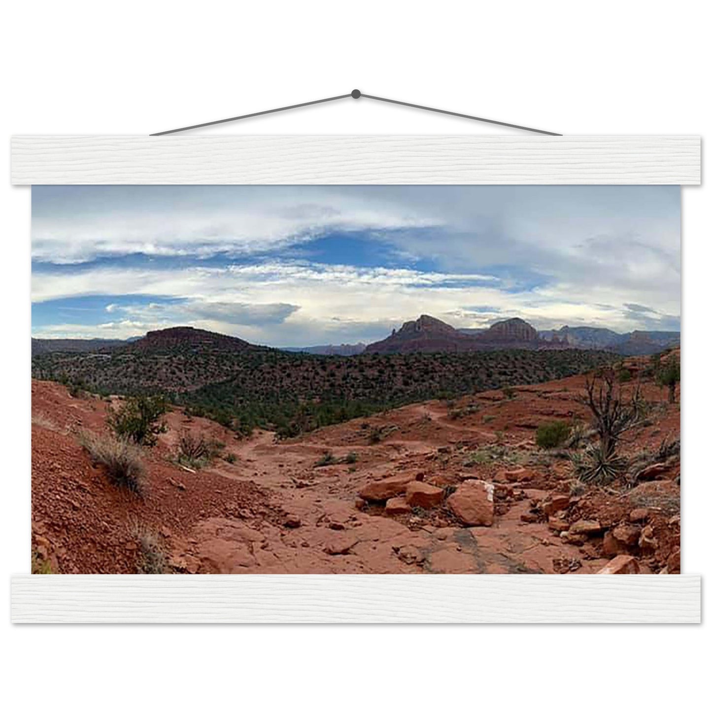 74b49d3b-a07d-452d-ab0f-48eb2feb20a0