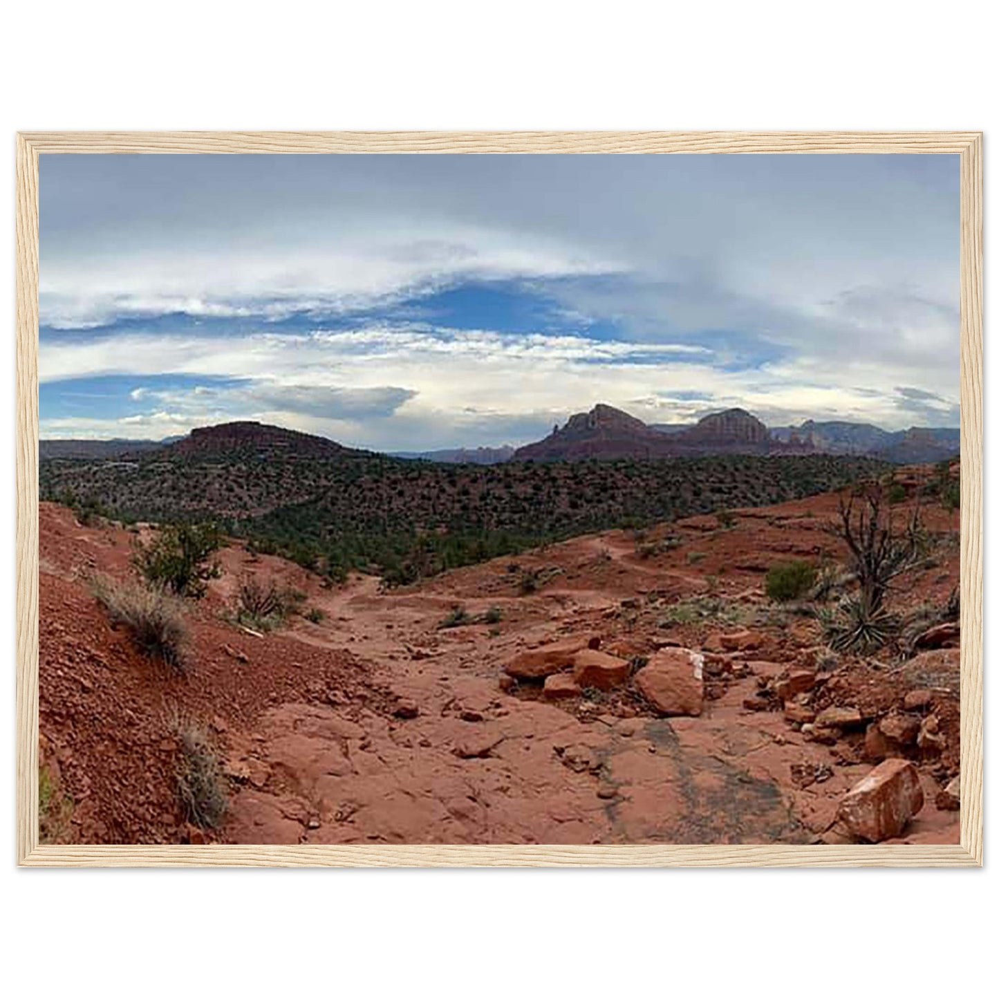 78e95e35-c371-4539-a996-ced50fb1ae2b