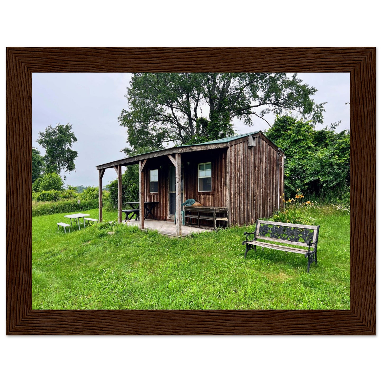 79b42b43-8e99-4ecf-9608-8c45a1e43cf6