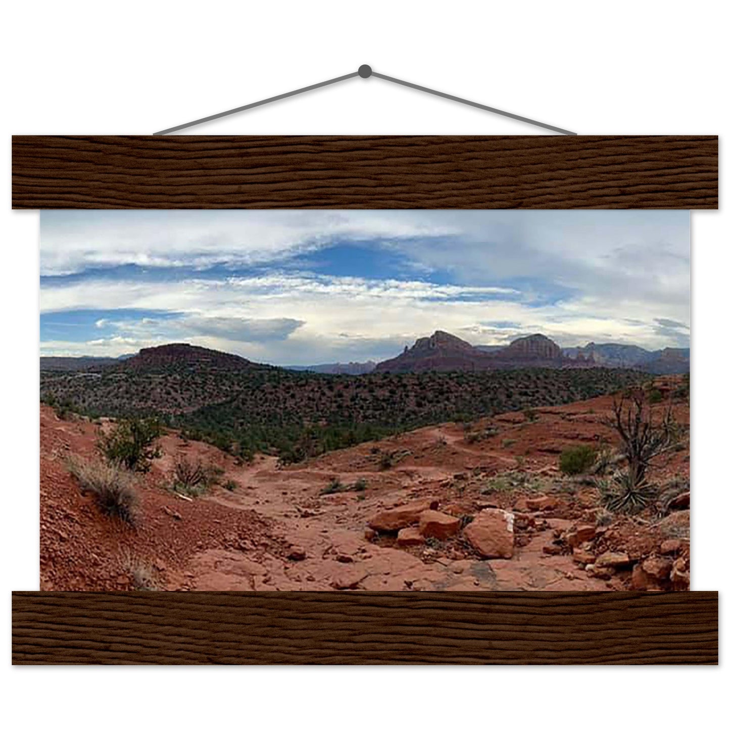 80d43293-6c3d-4fb7-a219-887d559a38d4