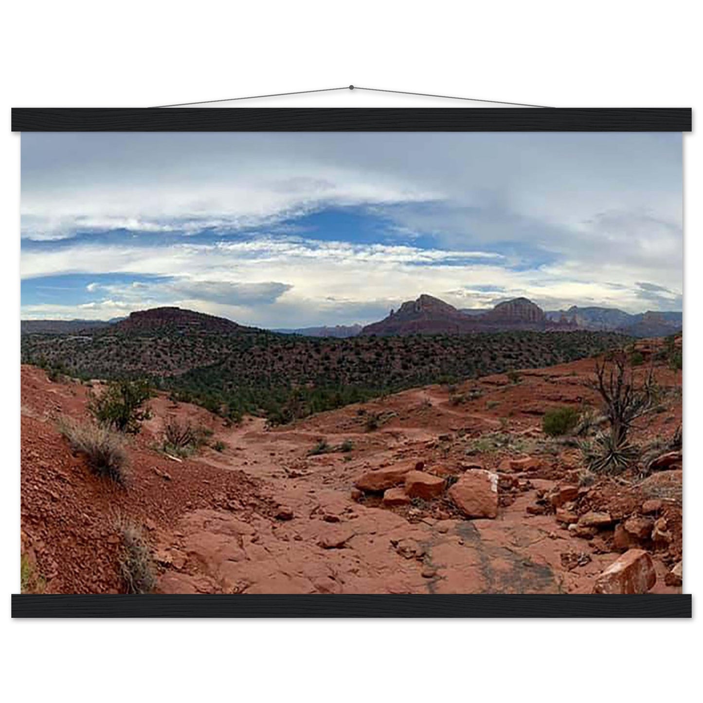 8728975d-b937-4823-9a50-2e8f7e5e4258