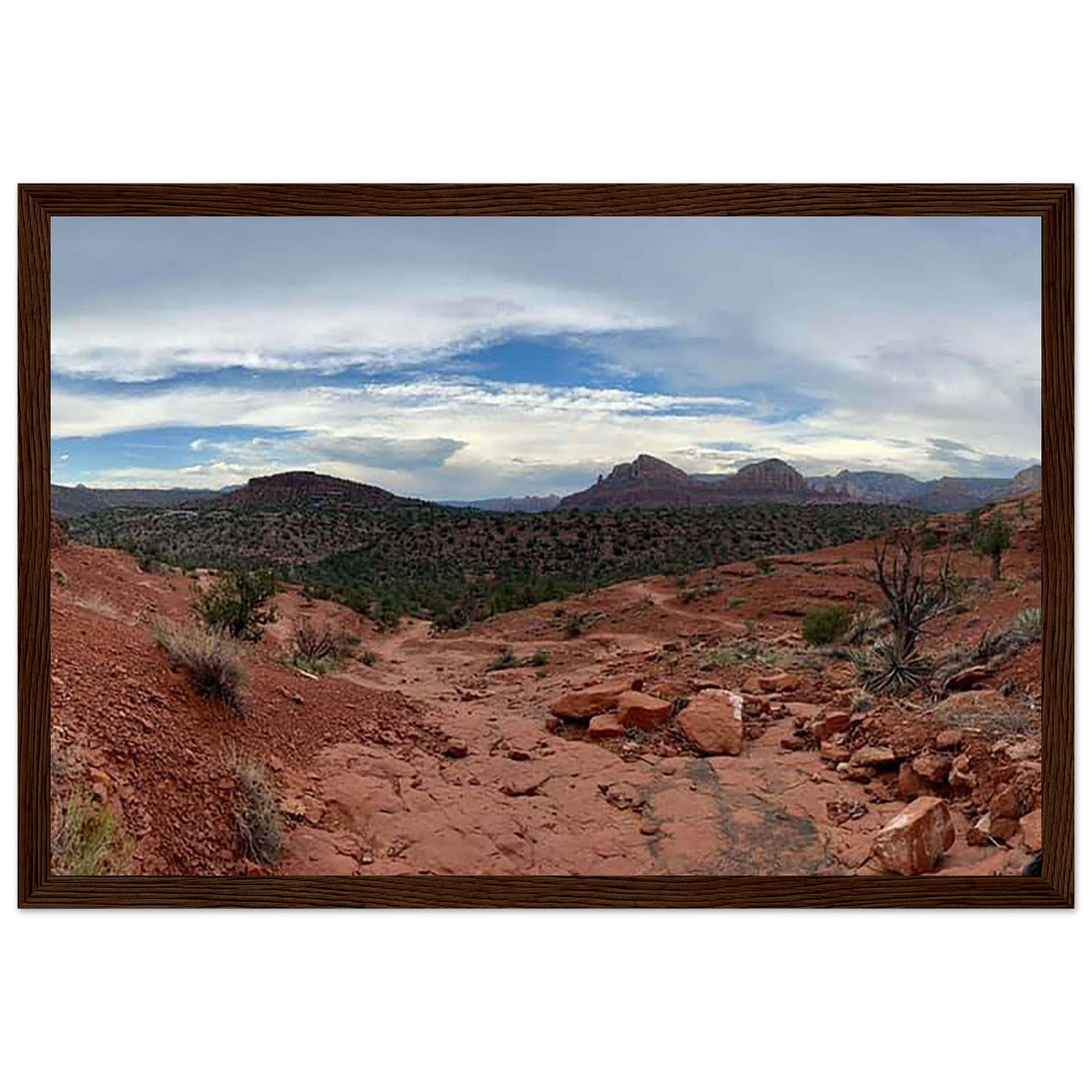 87987b81-491e-471f-8349-b3ebd87656ad