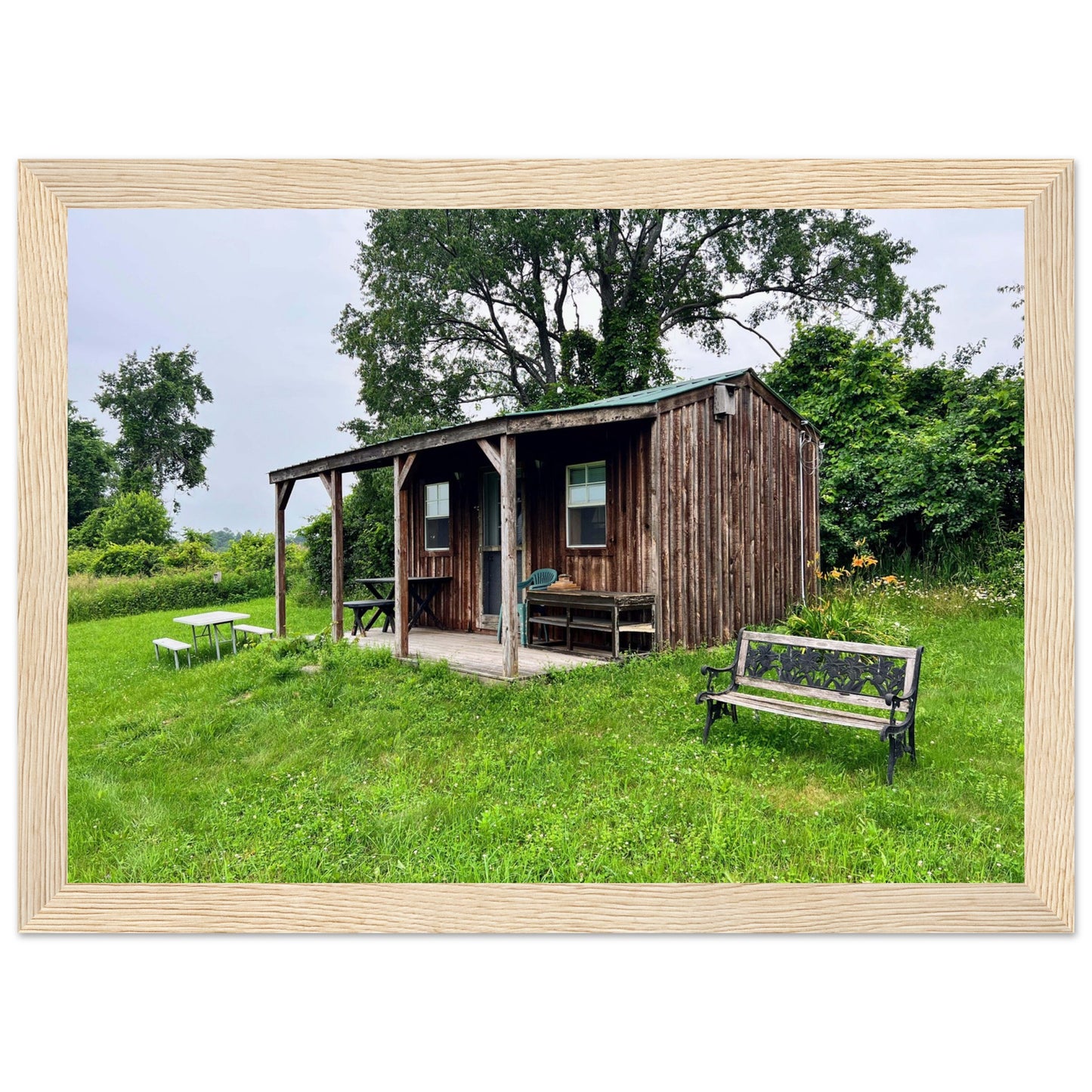 8d358b9d-444c-4c08-8755-00f7ac4e436e