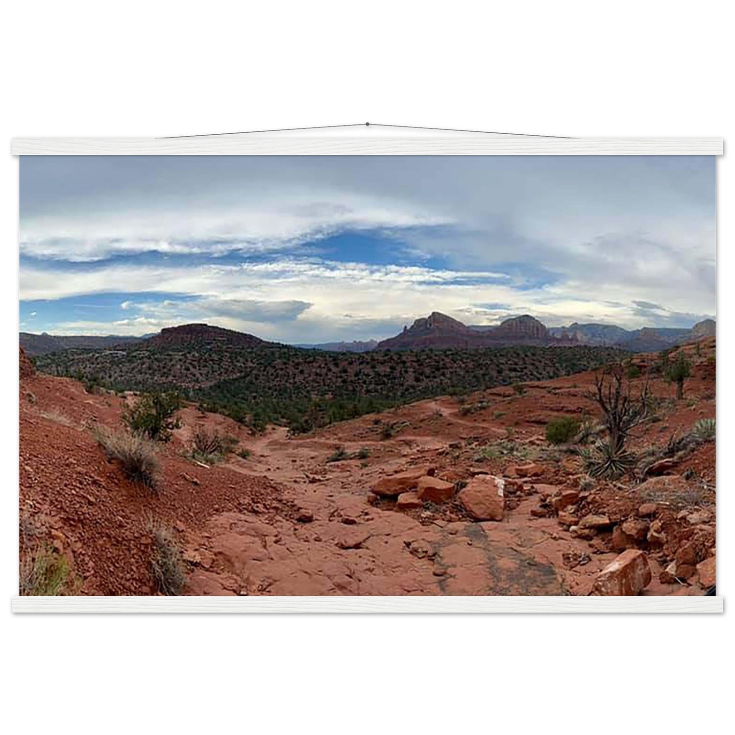 9541fa86-3e03-461b-98f8-4f7738691801