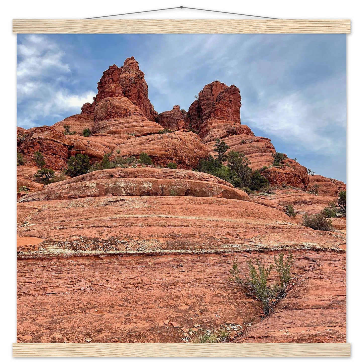 9856dcc4-f23c-42e0-906a-5b16800dc802