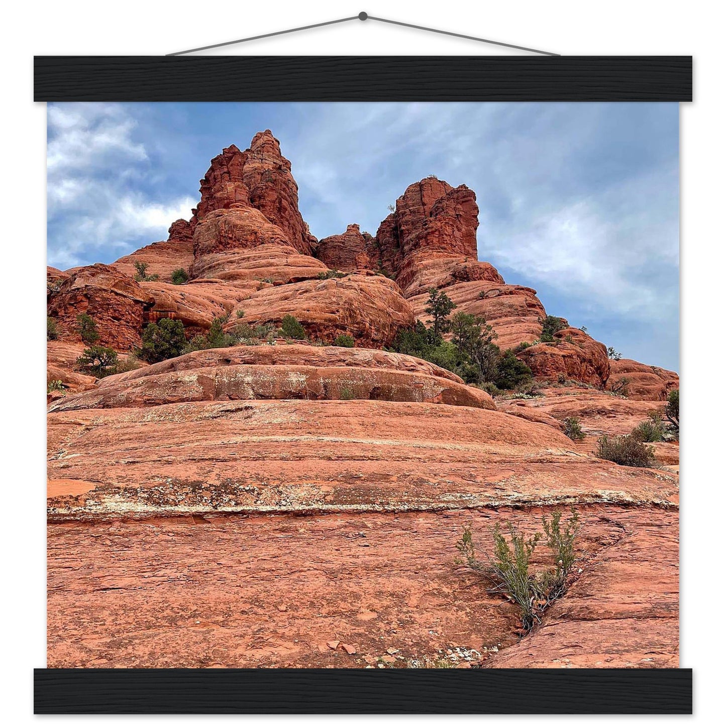 9a7c5242-cf77-4adc-b188-7dd7ee7bb2a8