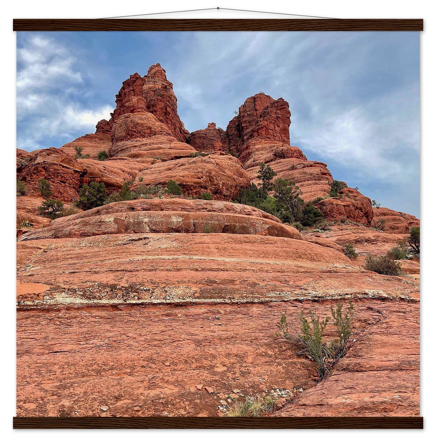 9e08679b-263d-4454-9b88-a4298fac0ac8