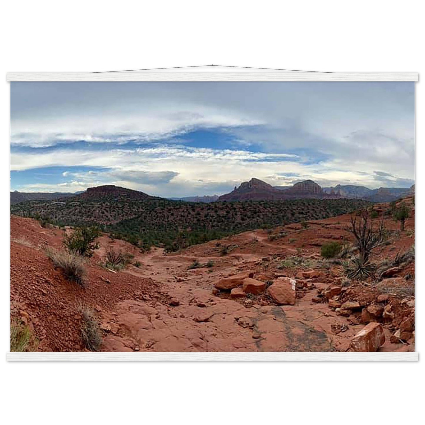 9f18d5b2-4d7c-486e-a6e2-f72963d74b0c