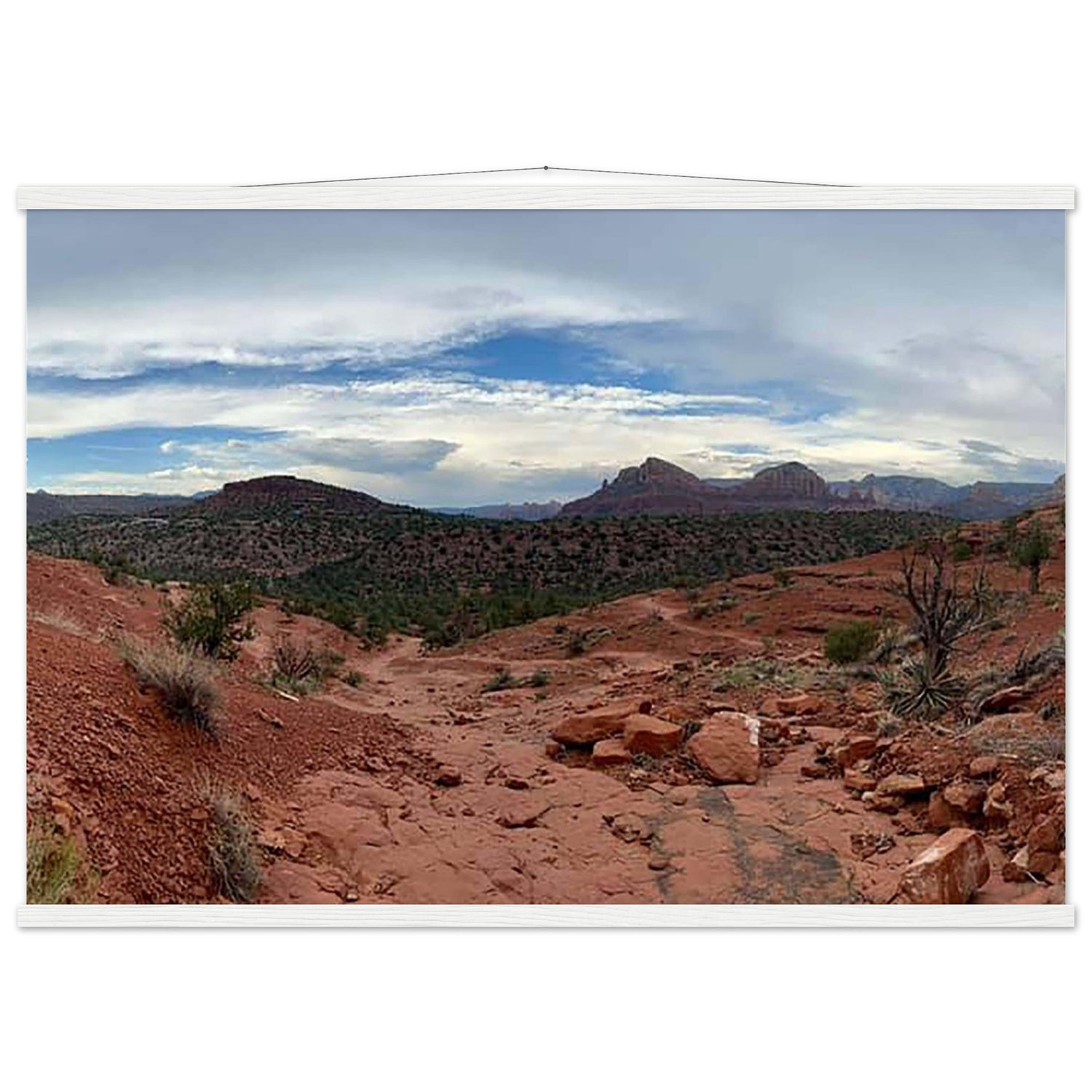 9f18d5b2-4d7c-486e-a6e2-f72963d74b0c