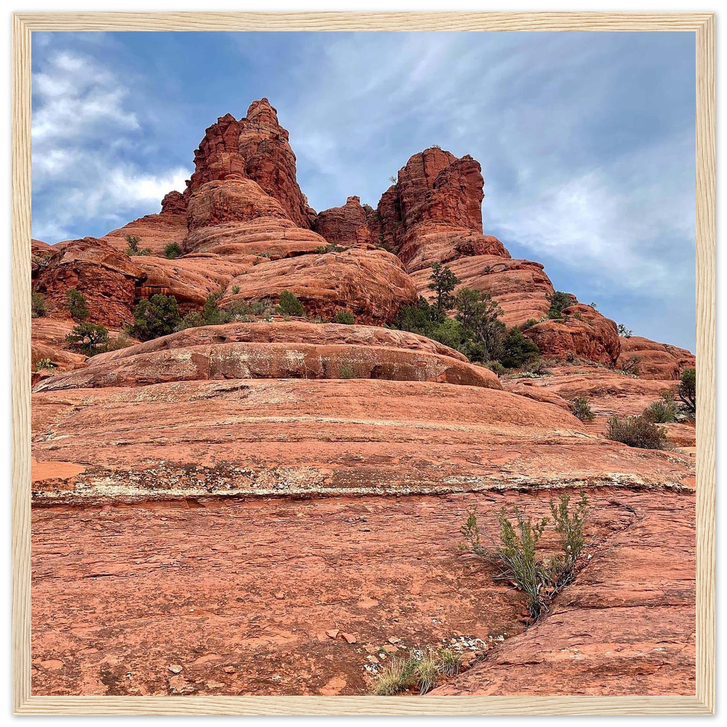 9f6b9c7d-234b-43ff-941c-bf440b4bc8a0