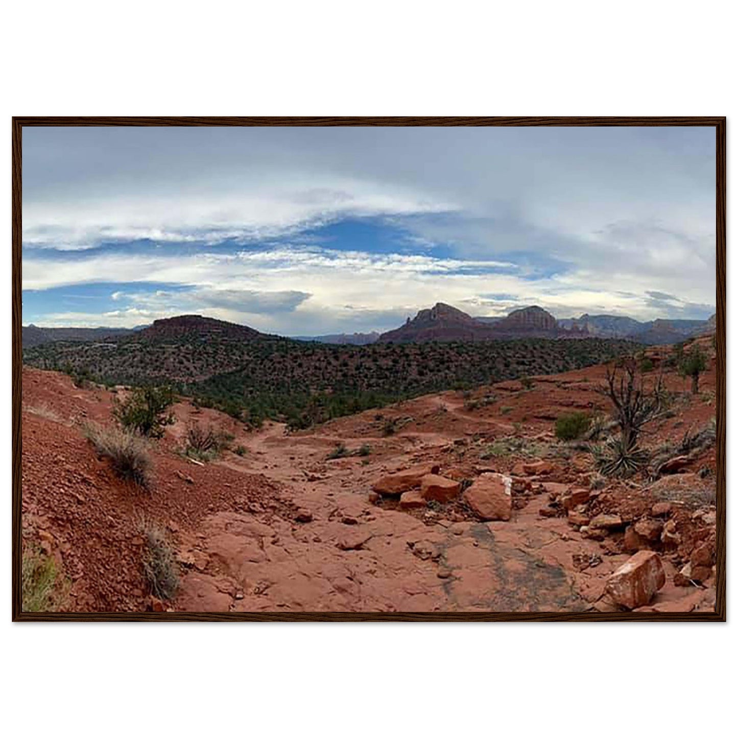 a21c76a1-044b-4955-8928-016caf71fa71