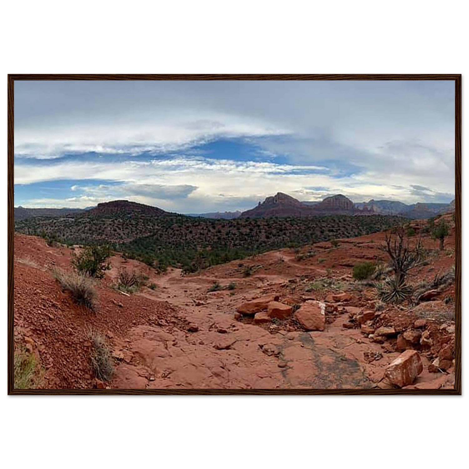 a21c76a1-044b-4955-8928-016caf71fa71