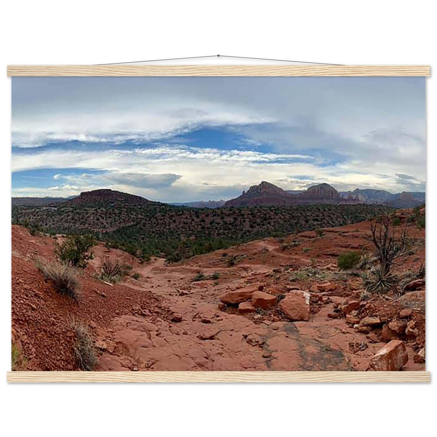 a617afa9-f806-4052-8bd9-d15163d3e6ff