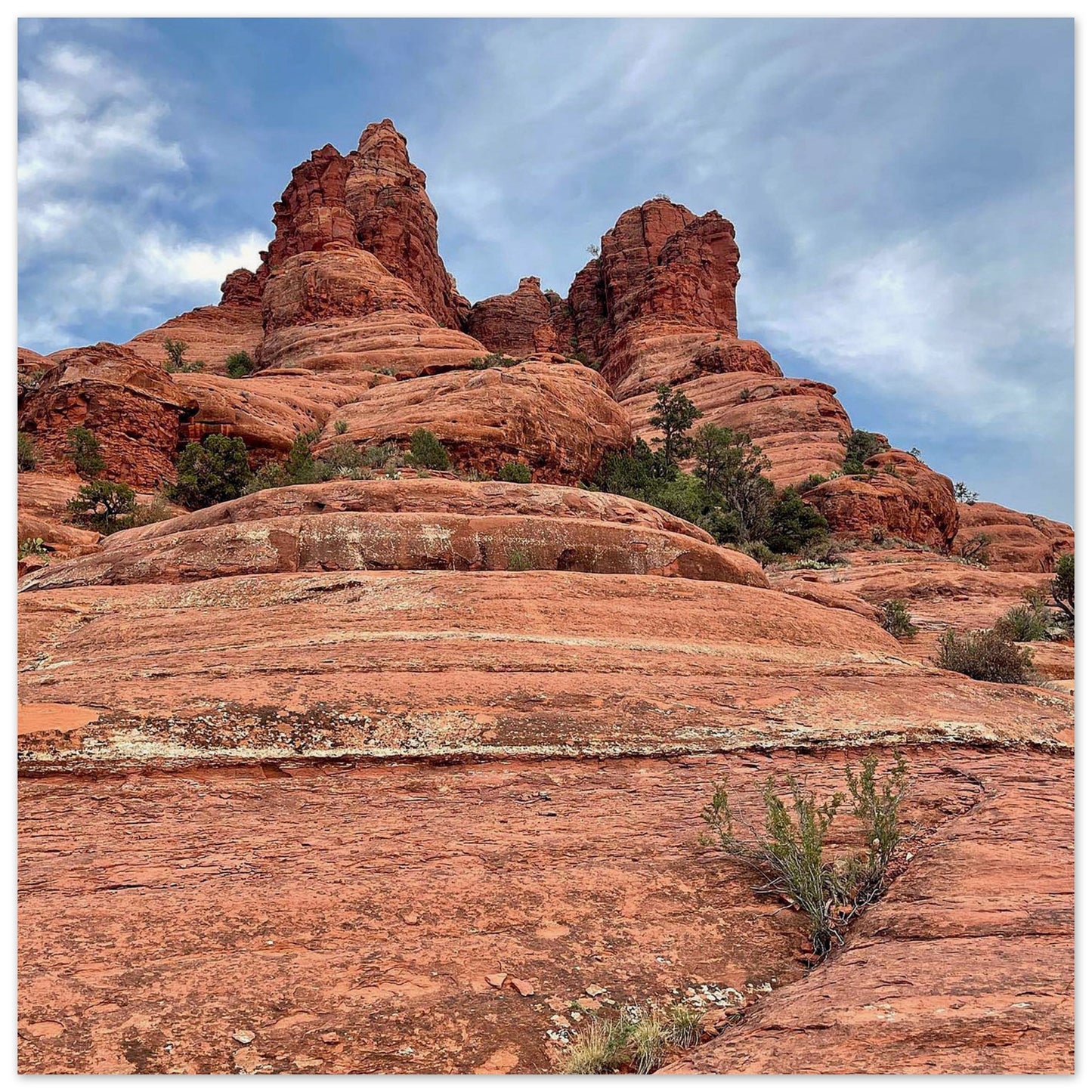 a6d5b10f-9d7f-4076-ae54-2d0c3d0b7792