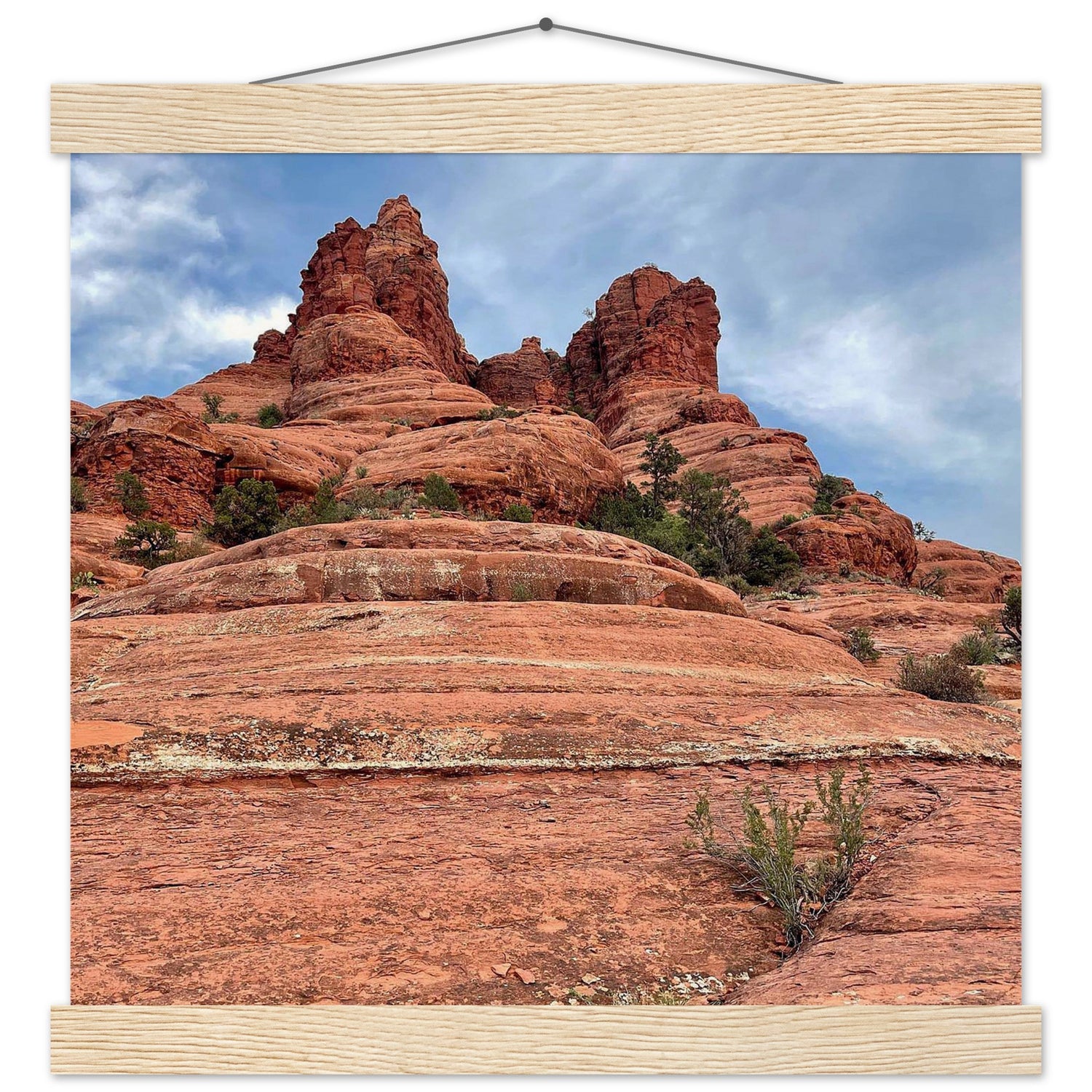 acb35d7e-33f9-42f8-a588-373eb352b2c4