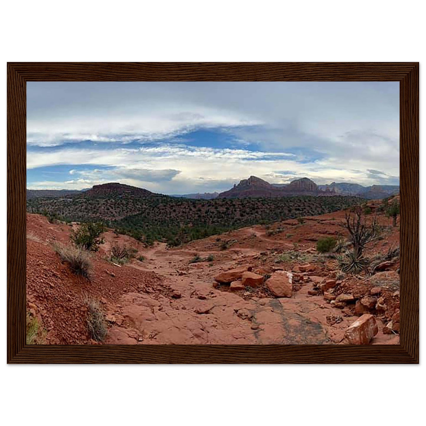 b15ce9a6-eb61-40fa-b249-c9726ddd15fb